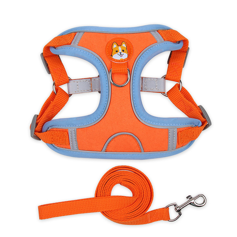No-Pull Dog Harness with Leash Set (4)