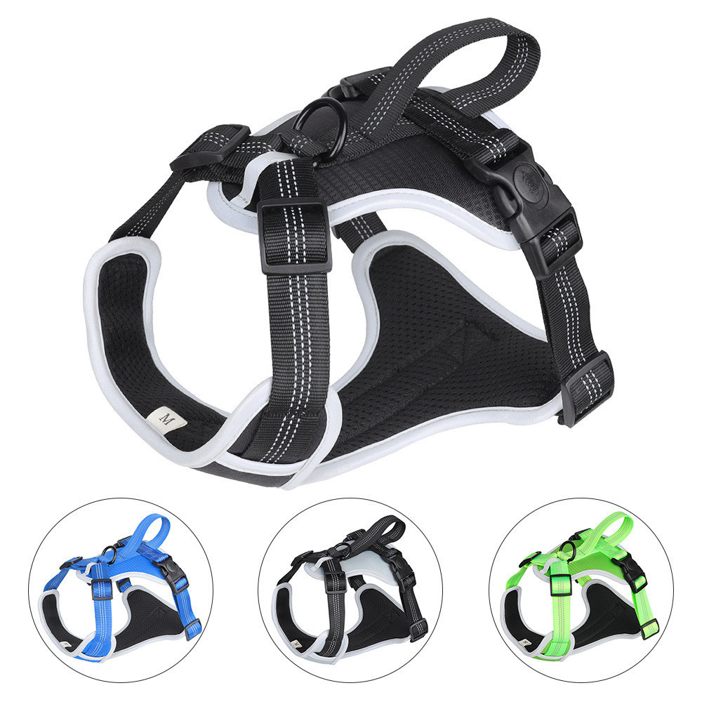 Dog leash strap